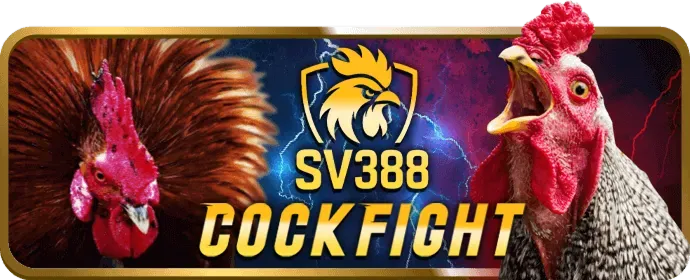 Giao diện thân thiện s8bet app